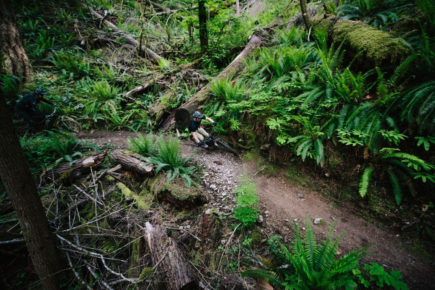 Santa Cruz Hightower 3 | C | S | Matte Evergreen - Liquid-Life