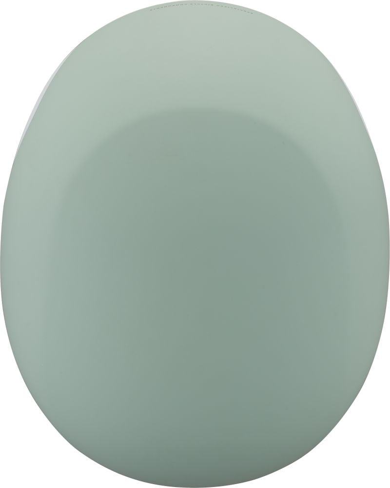 Specialized Mode Matte CA - Liquid-Life #Wähle Deine Farbe_White Sage