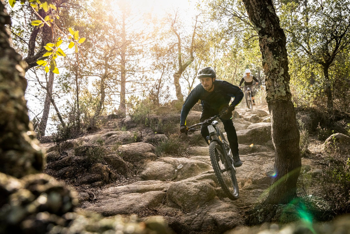 Focus E-Bike
