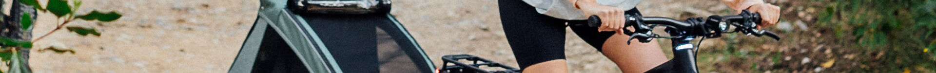 Orbea E-Trekking