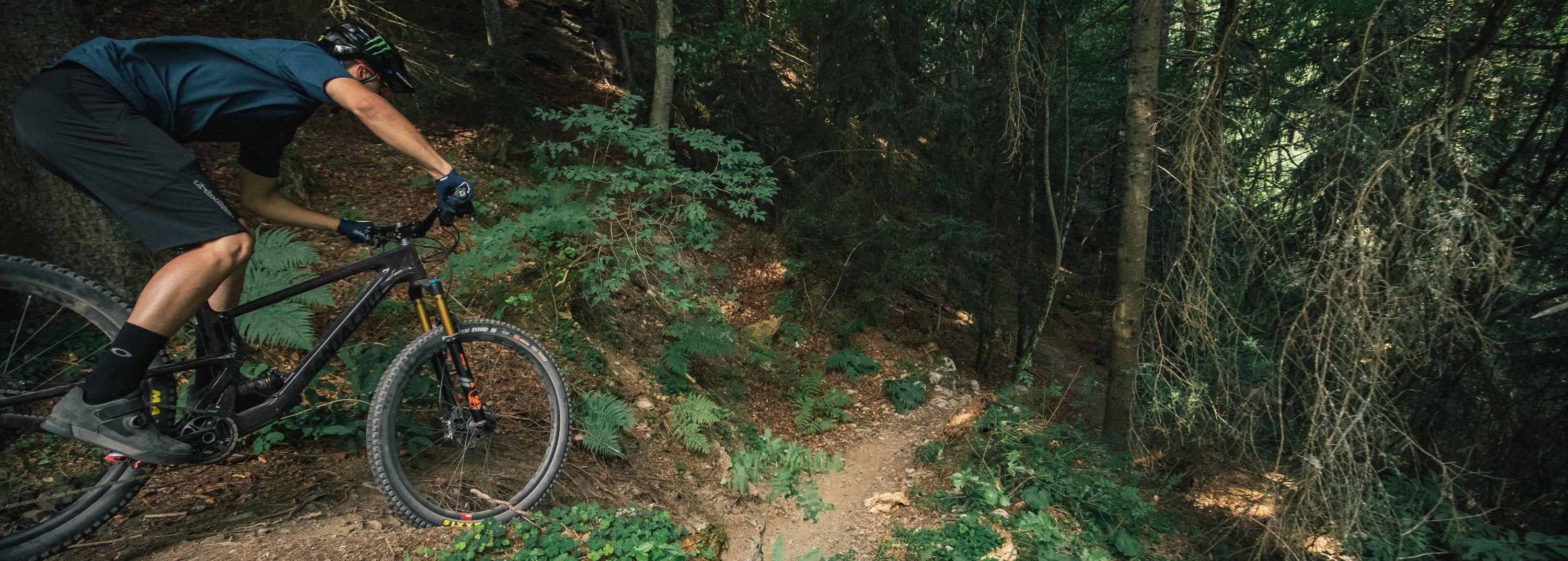 Santa Cruz Tallboy