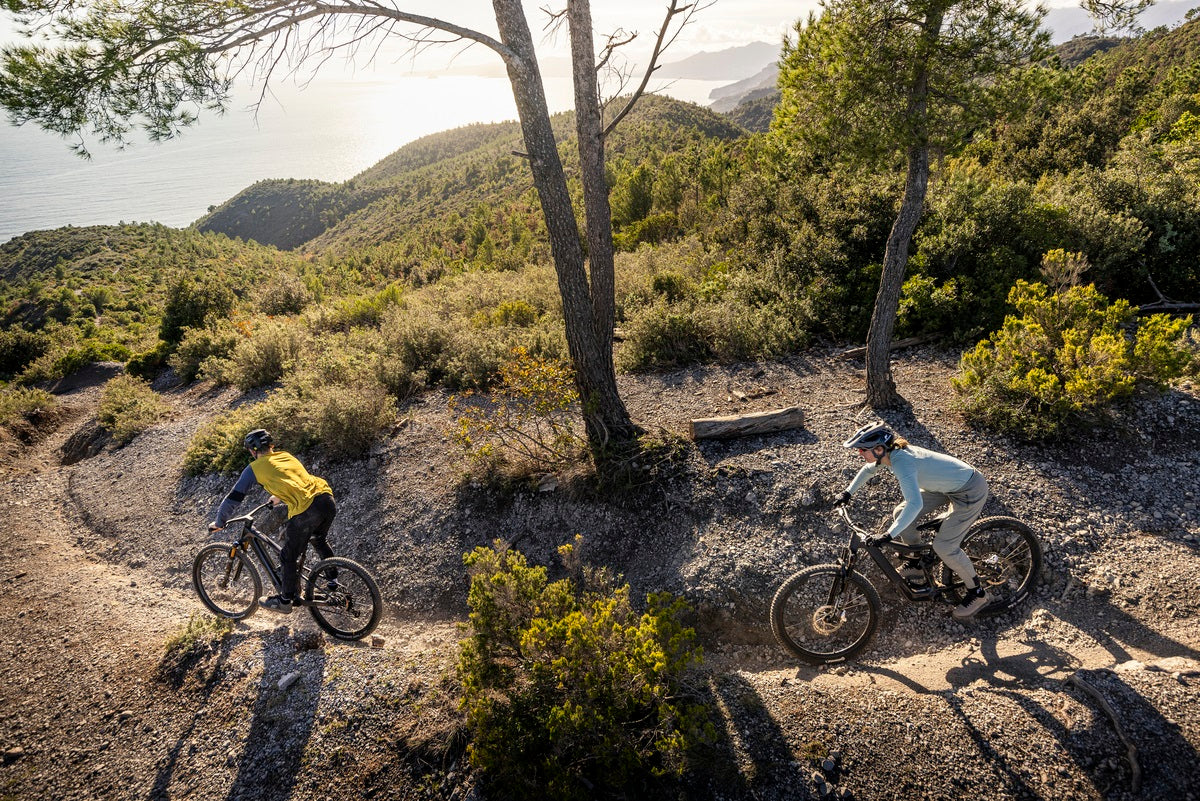 Focus E-MTB Fully