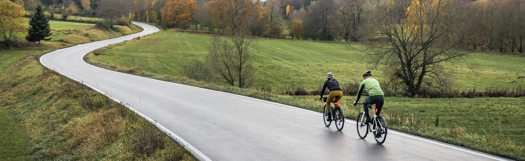 Focus Rennrad