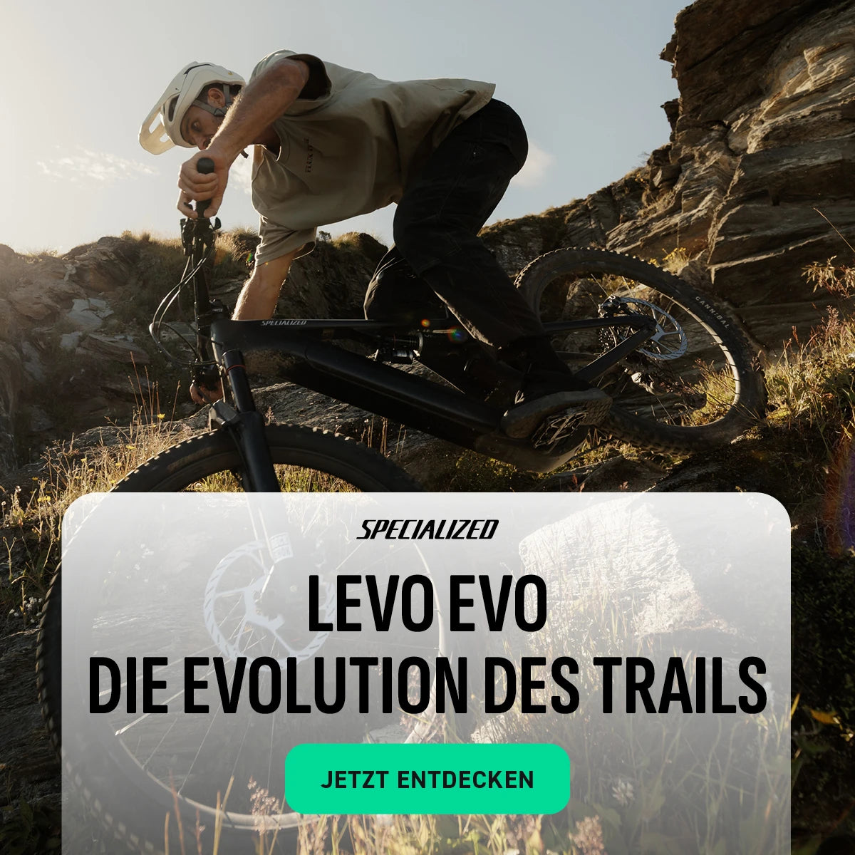 Levo EVO 4 2027