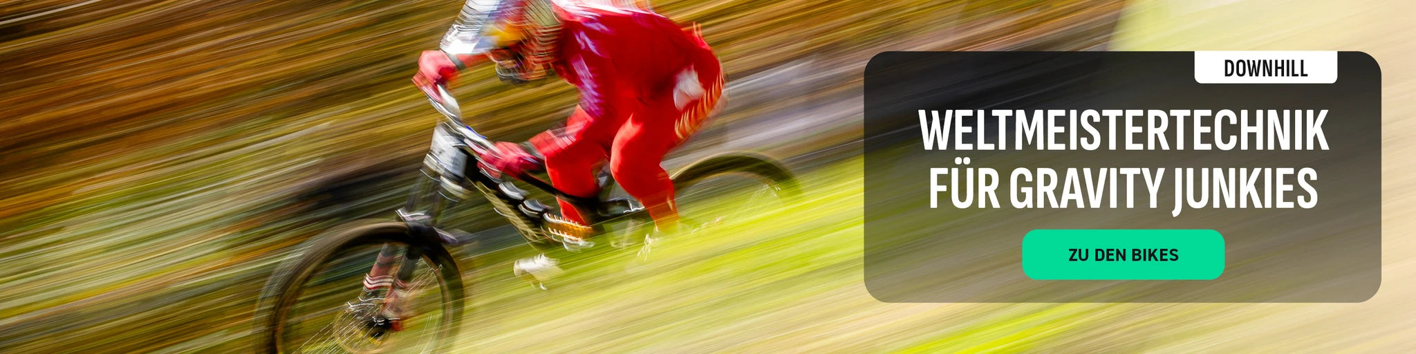 Downhill Worldcup