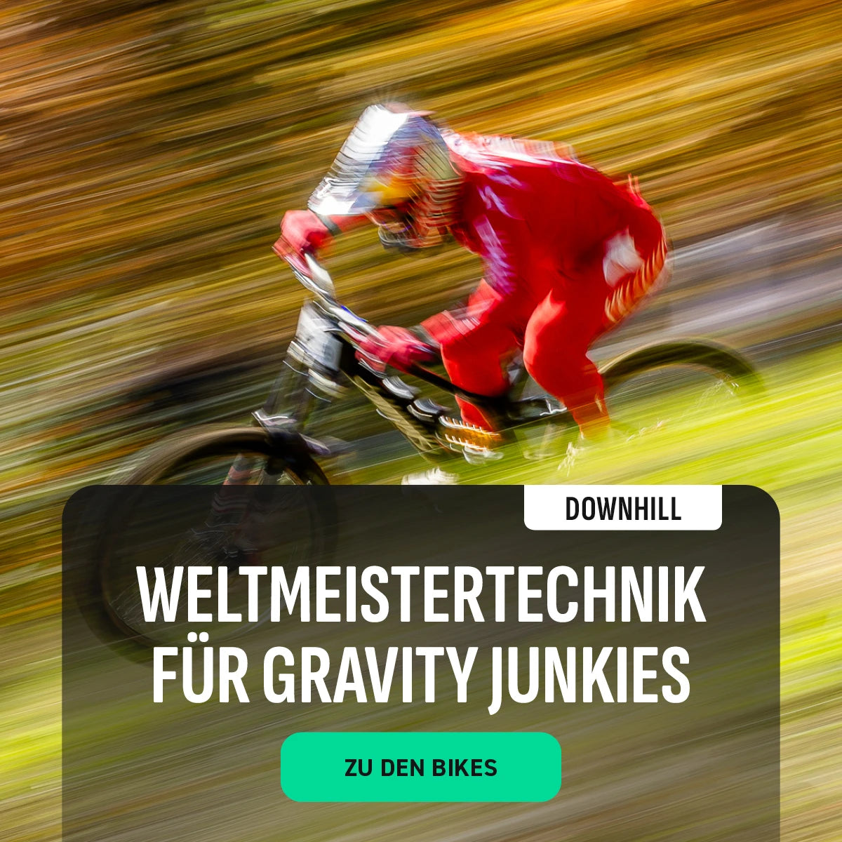 Downhill Worldcup