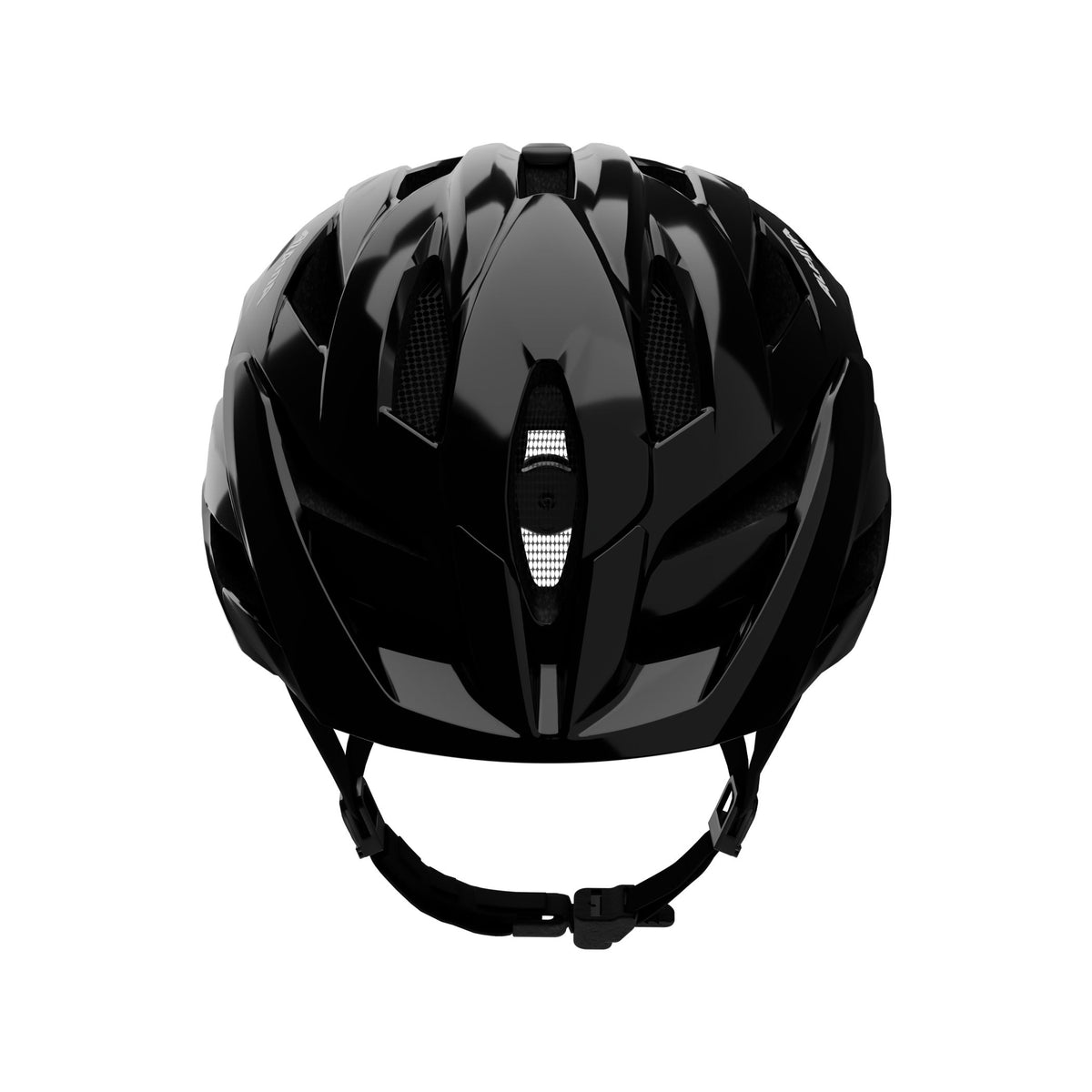 Alpina Panoma 4 Classic - Liquid-Life #Wähle Deine Farbe_black gloss