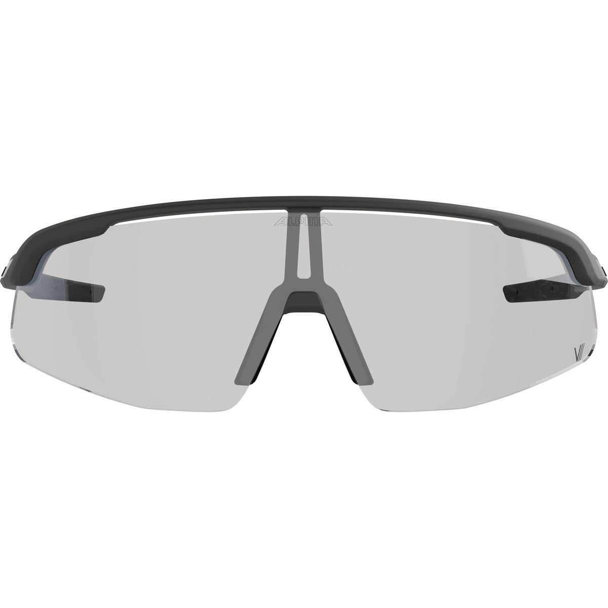 Alpina Turbo Pro V - Liquid-Life #Wähle Deine Farbe_grey matt/clear grey/blue
