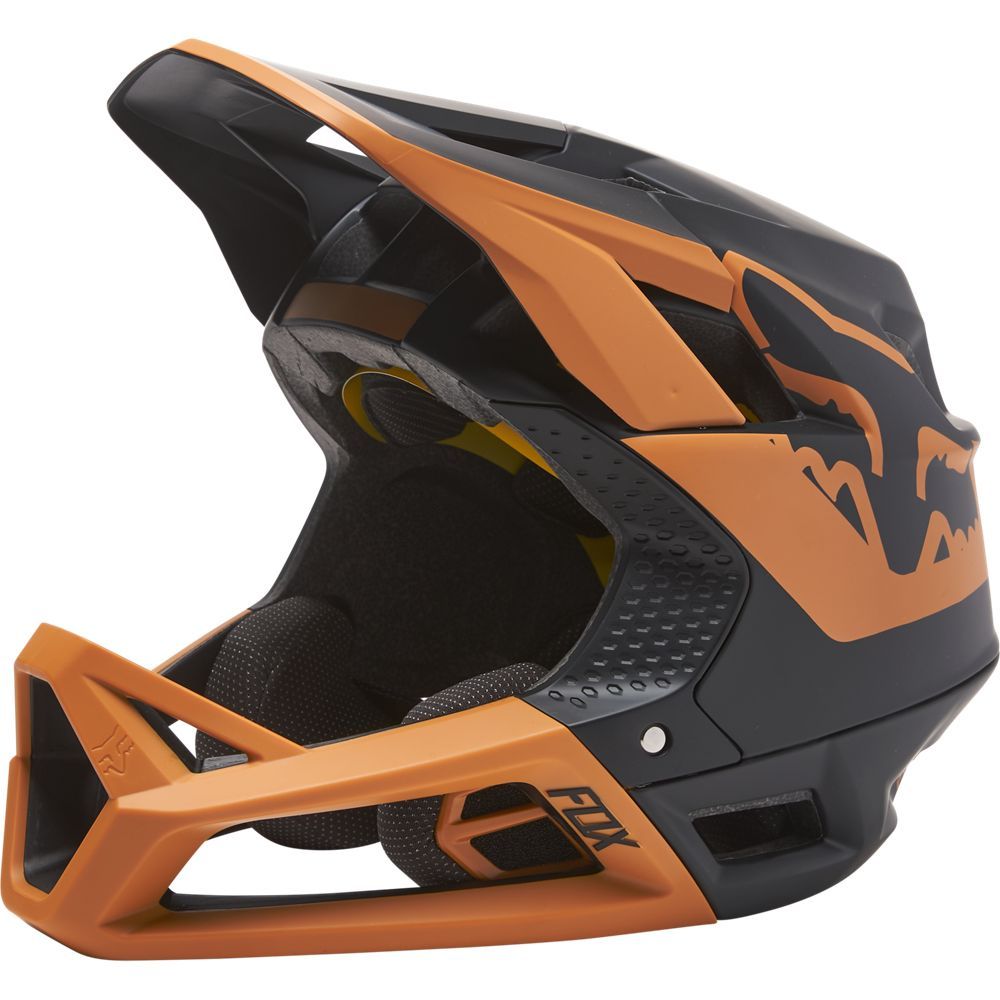 Fox Proframe Helmet Tuk - Liquid-Life #Wähle Deine Farbe_black/gold