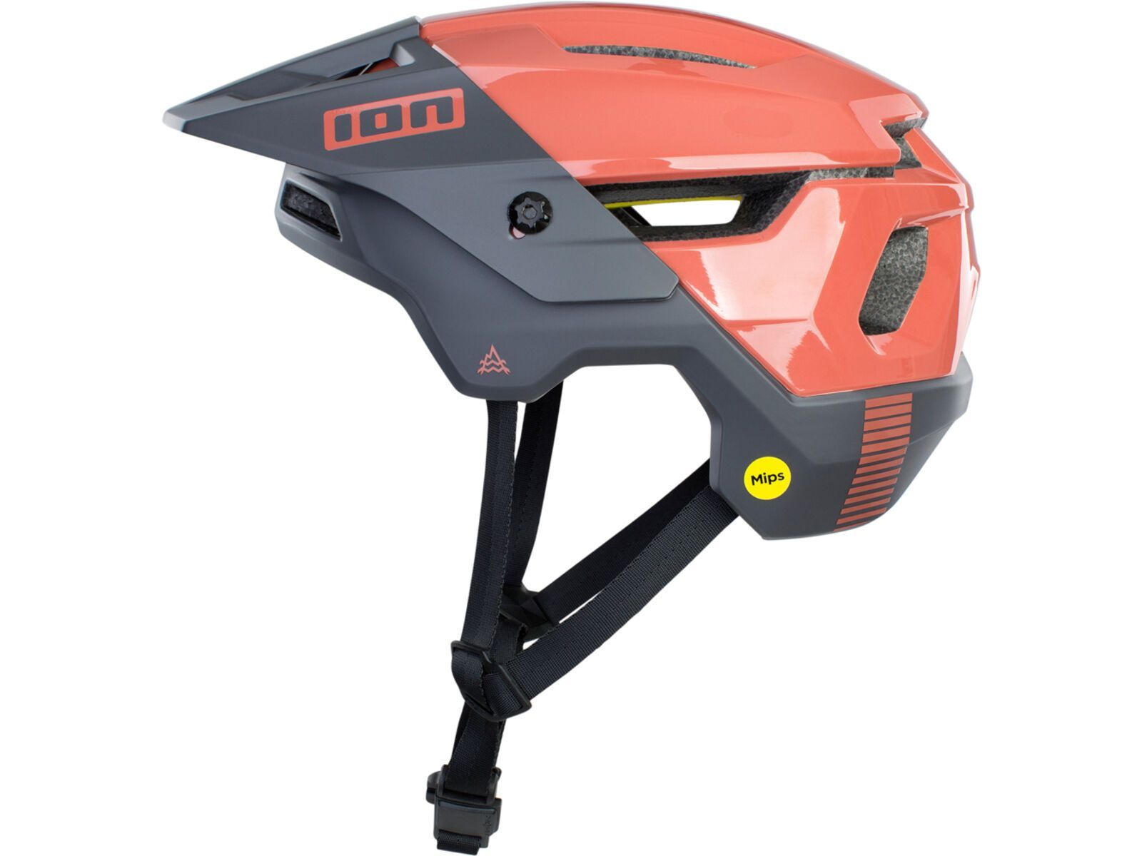 ION Helmet Traze Amp MIPS EU/CE - Liquid-Life #Wähle Deine Farbe_Crimson Earth