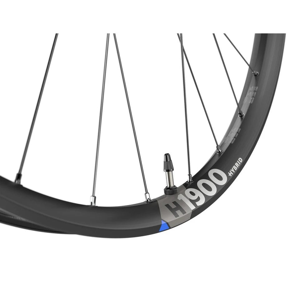 DT SWISS HR DT Swiss H 1900 Spline DB 29"/30mm - Liquid-Life #Wähle Deine Farbe_