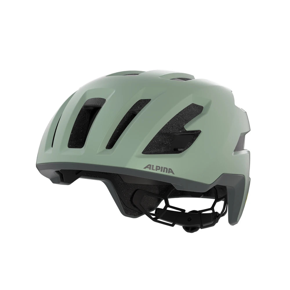 Alpina Taunus Gravel Mips - Liquid-Life #Wähle Deine Farbe_willow/green