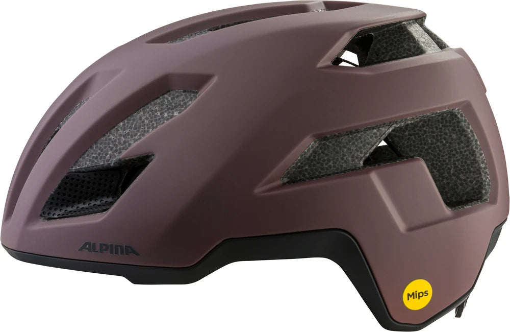 Alpina Taunus Gravel Mips - Liquid-Life #Wähle Deine Farbe_ox black