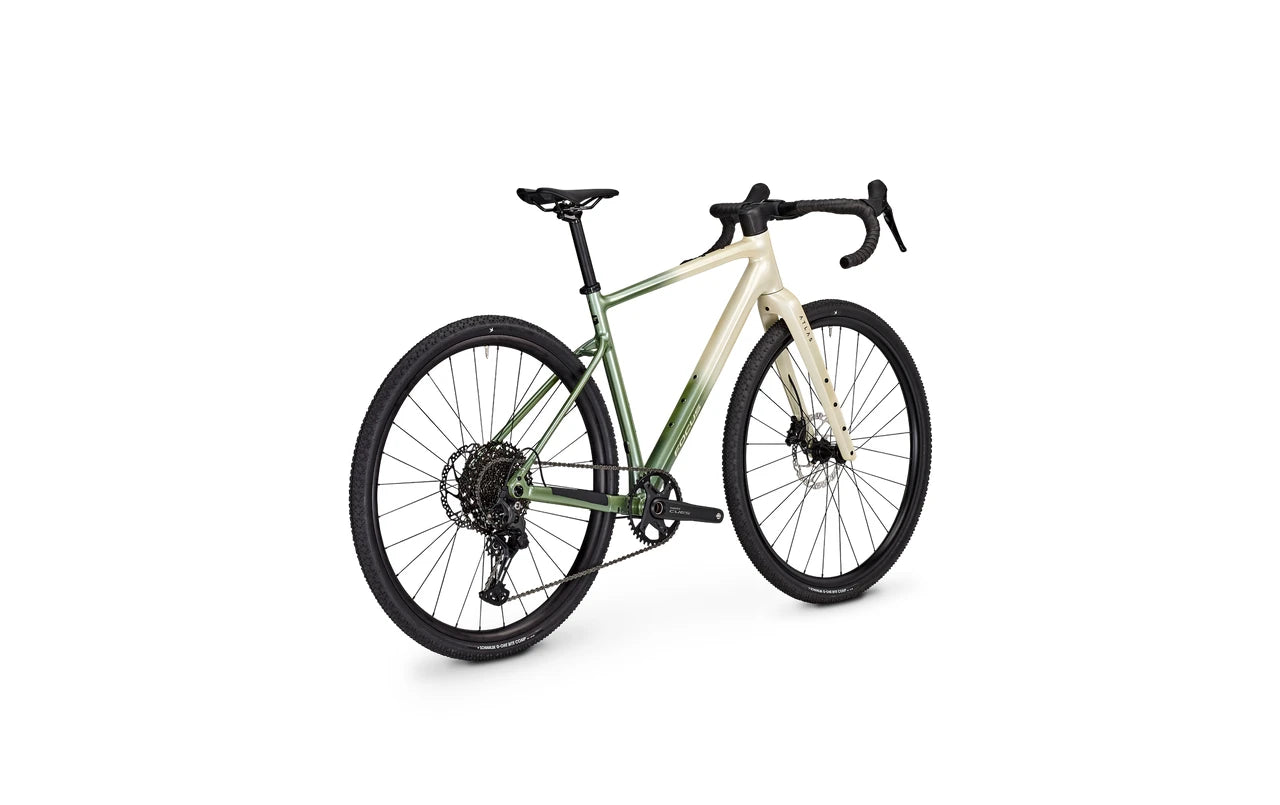 Focus ATLAS 6.7 Champagne/Mintgrey 2026