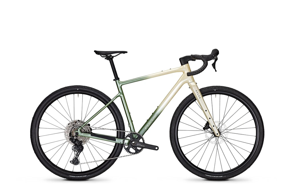 Focus ATLAS 6.7 Champagne/Mintgrey 2026