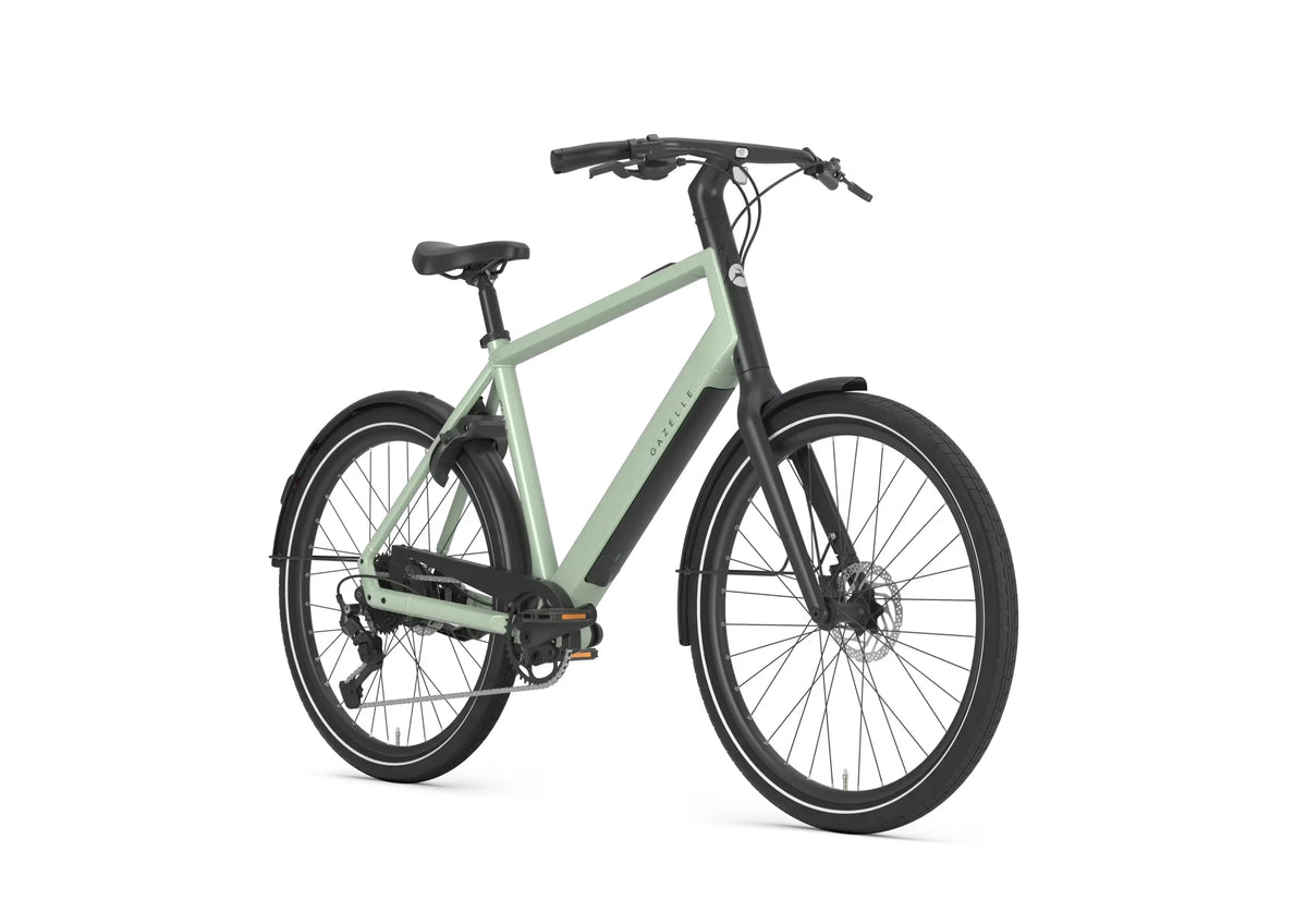 Gazelle Curb T9 360 Wh pistache green 2027