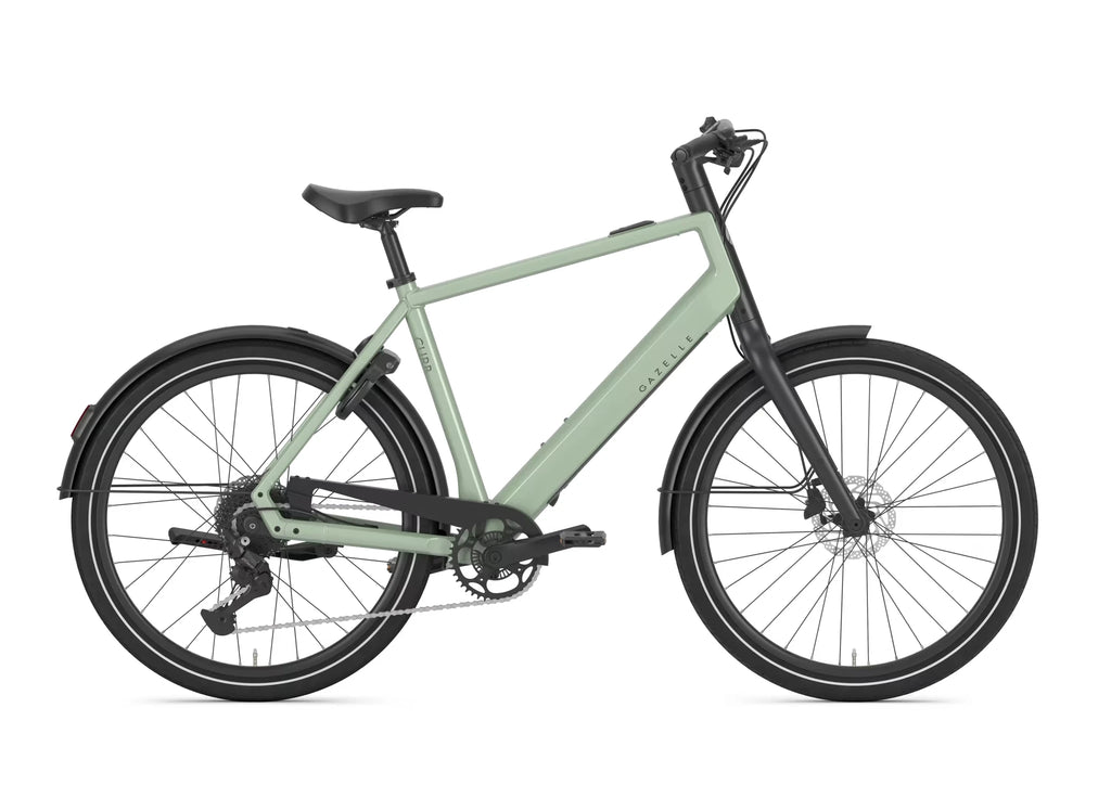 Gazelle Curb T9 360 Wh pistache green 2027