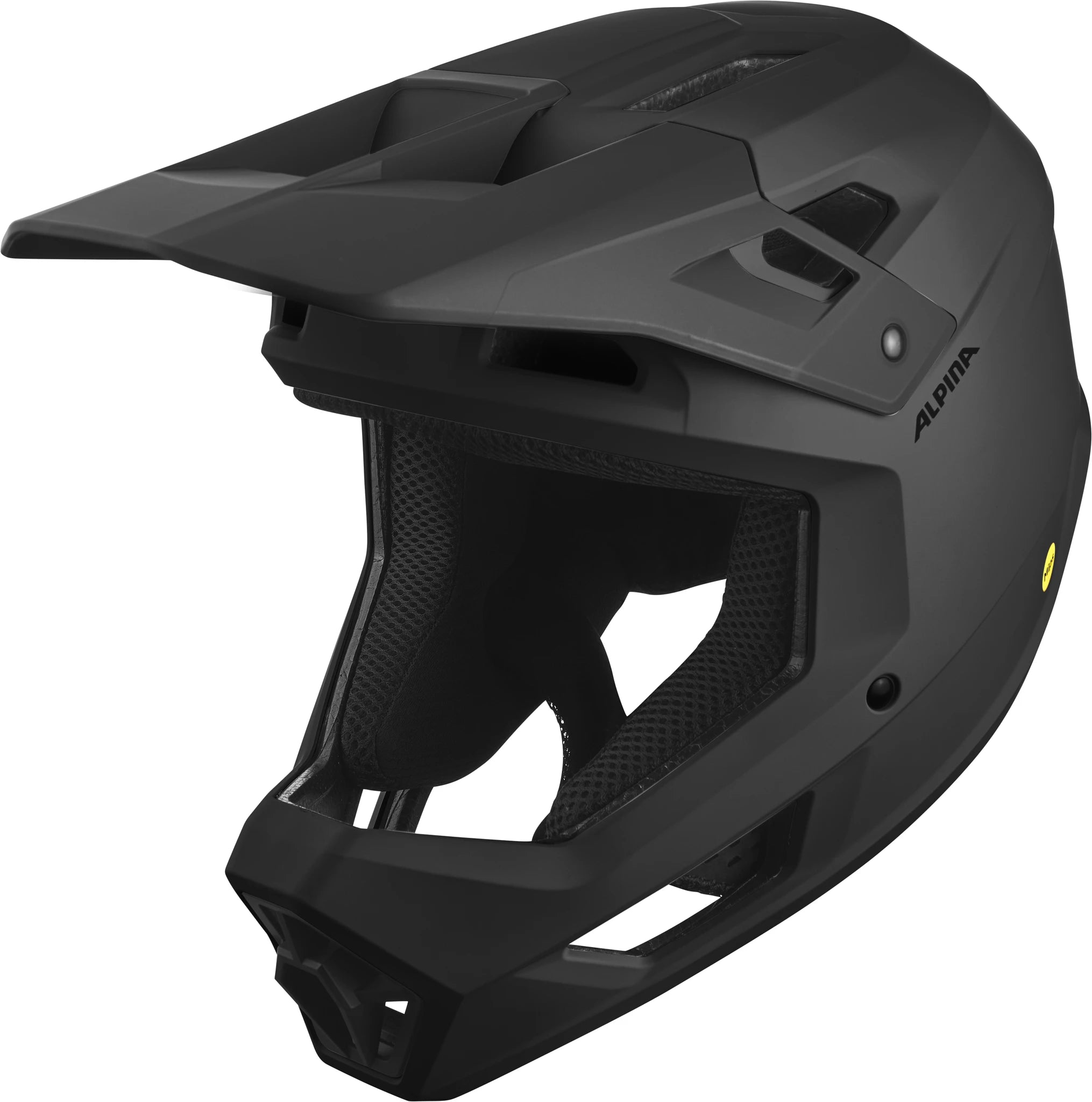 Alpina Apax Mips - Liquid-Life #Wähle Deine Farbe_black matt