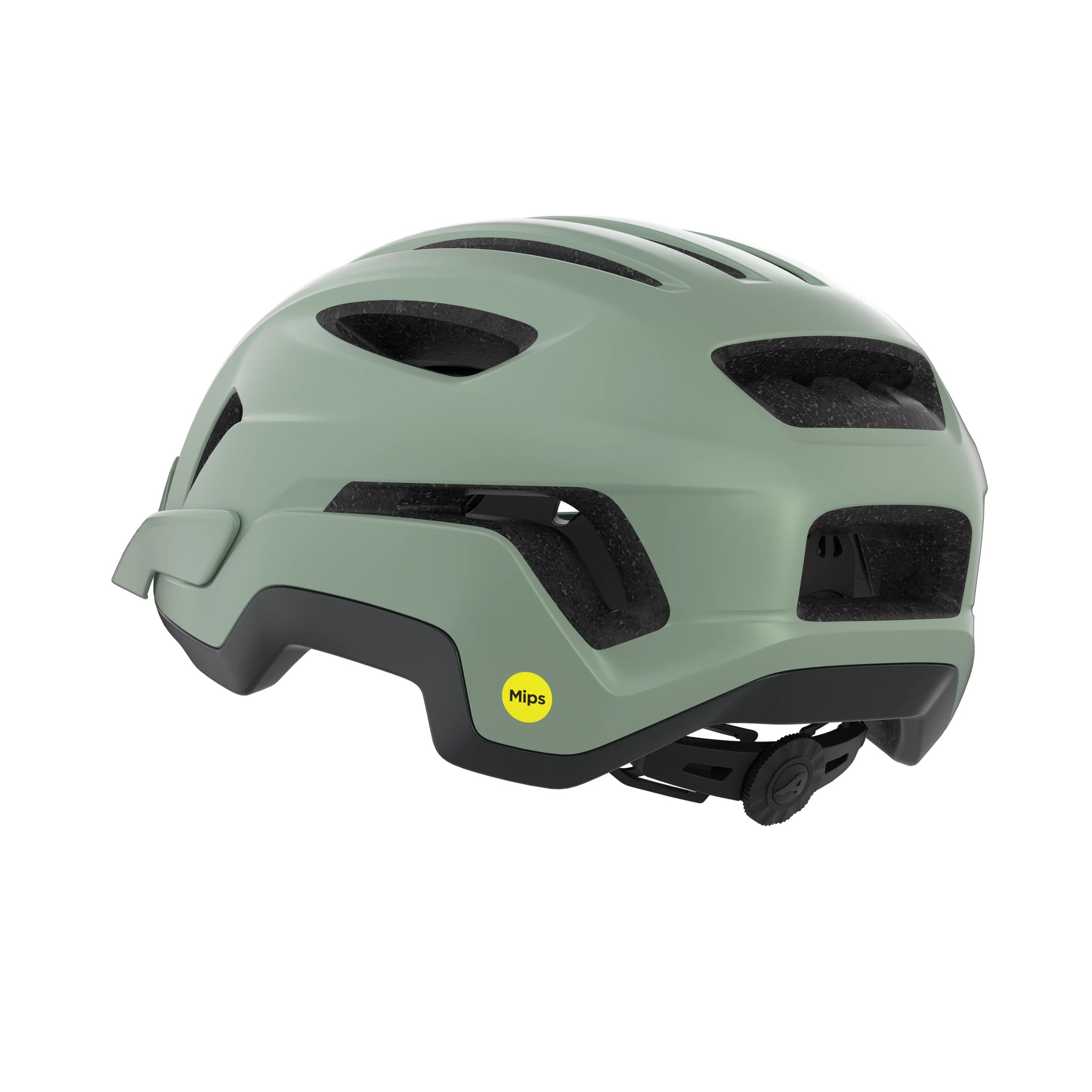 Alpina Paranus Mips - Liquid-Life #Wähle Deine Farbe_willow-green matt