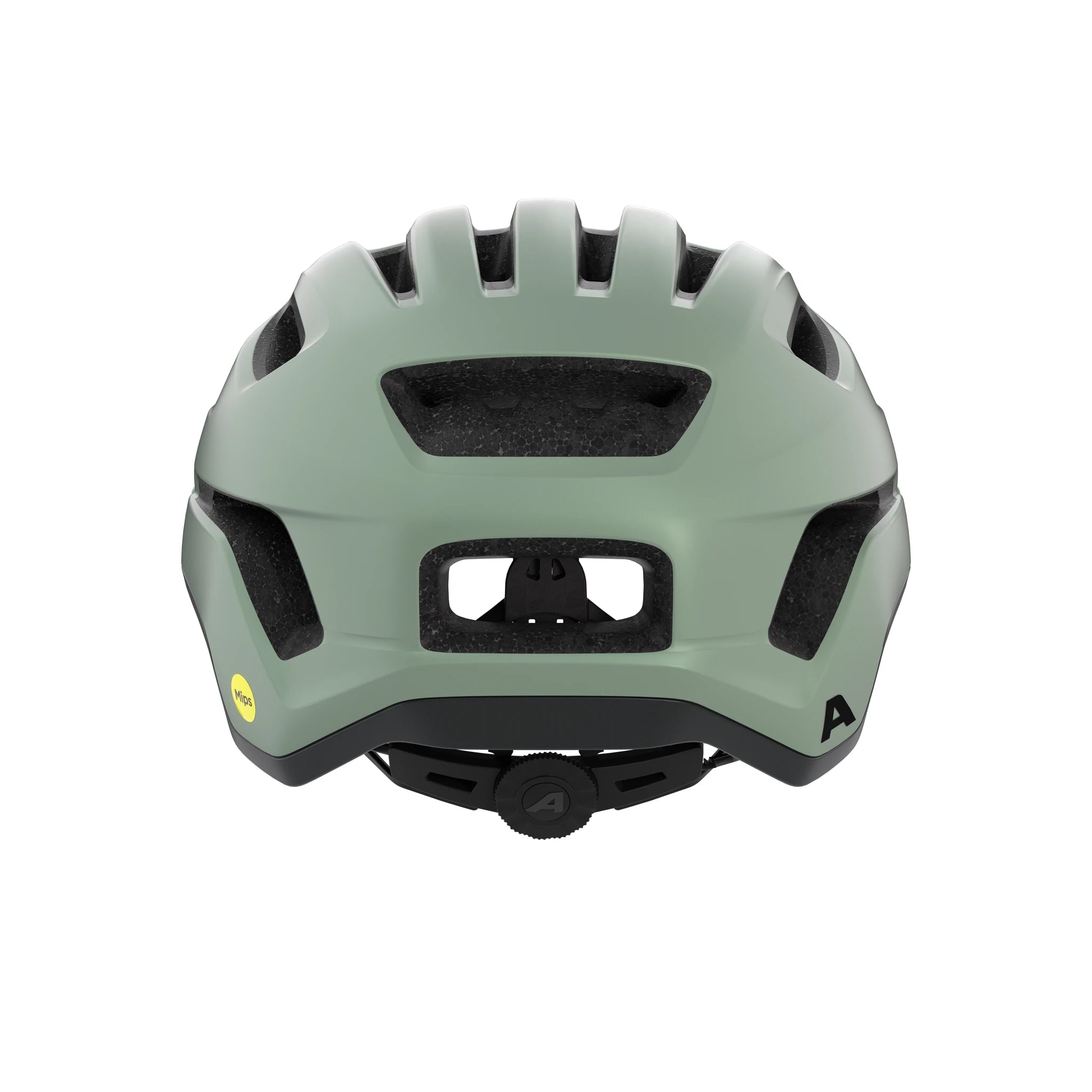 Alpina Paranus Mips - Liquid-Life #Wähle Deine Farbe_willow-green matt