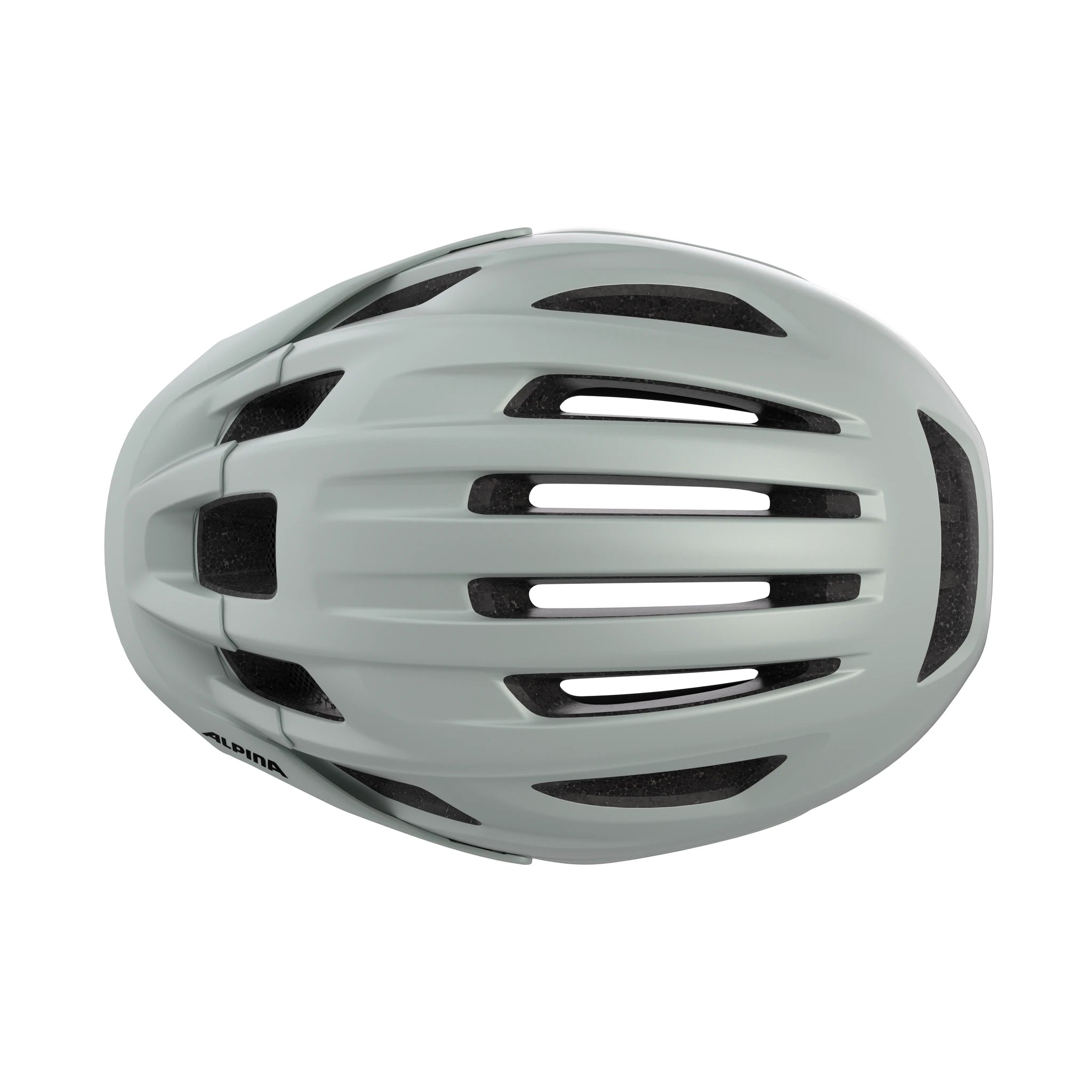 Alpina Paranus Mips - Liquid-Life #Wähle Deine Farbe_smoke-grey midnight-grey matt