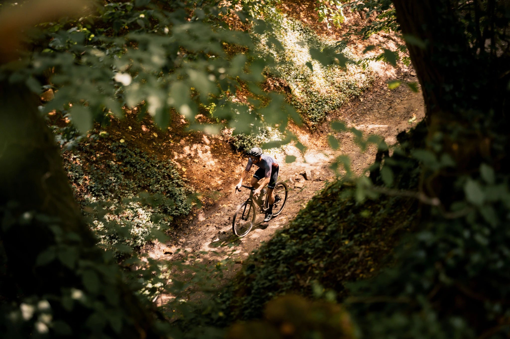 Ridley Kanzo Adventure Alu im Wald , Gravel Bike fahren