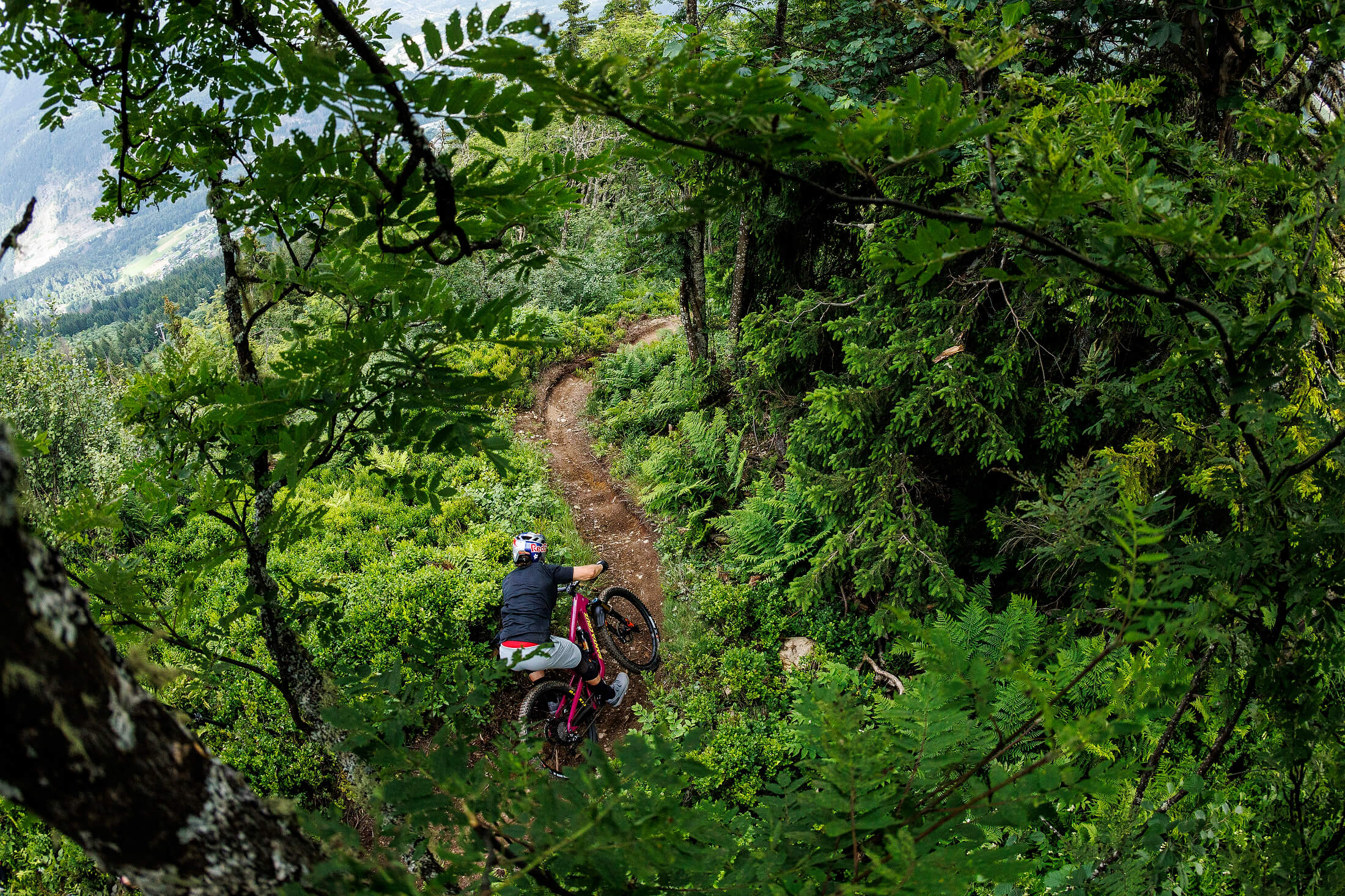 Mountainbiker auf engem Waldpfad mit Santa Cruz Bronson-Fahrrad, umgeben von dichter Vegetation.