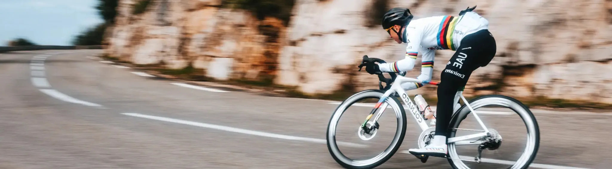 Radsportler auf Colnago V5Rs Rennrad fährt auf kurviger Bergstraße, trägt Regenbogentrikot und Helm.
