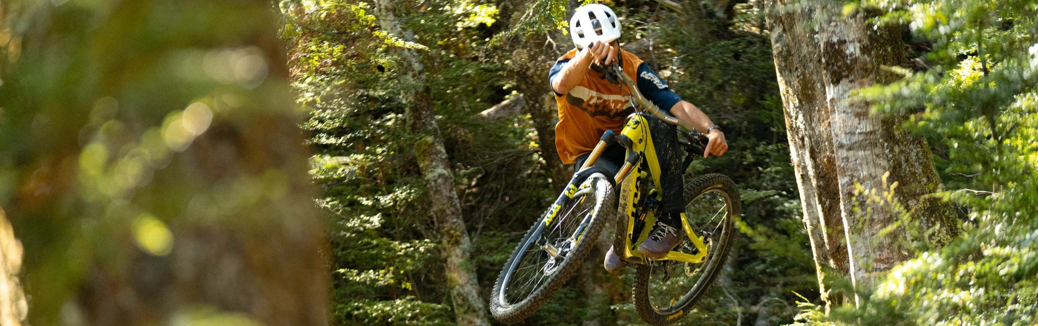 Mountainbiker mit Helm auf gelbem Pivot Firebird Bike springt durch bewaldetes Gelände.