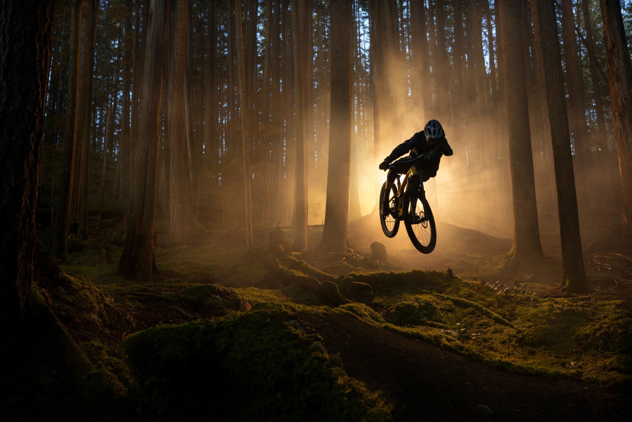 Mountainbiker springt mit Trek Fuel EXE im Wald, beleuchtet von Sonnenuntergang, ideal für Abenteuer und Gelände.
