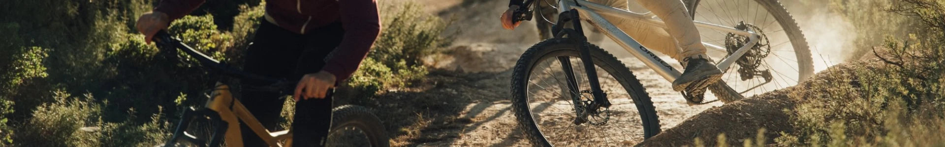 Mountainbikes kaufen und beratung bei Liquid-life.de