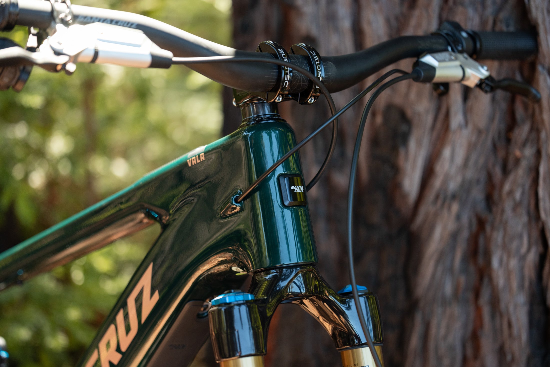 Santa Cruz Vala Mountainbike-Vorderteil, grün, mit Lenker und Federgabel, für Offroad-Fahrten, Naturhintergrund.