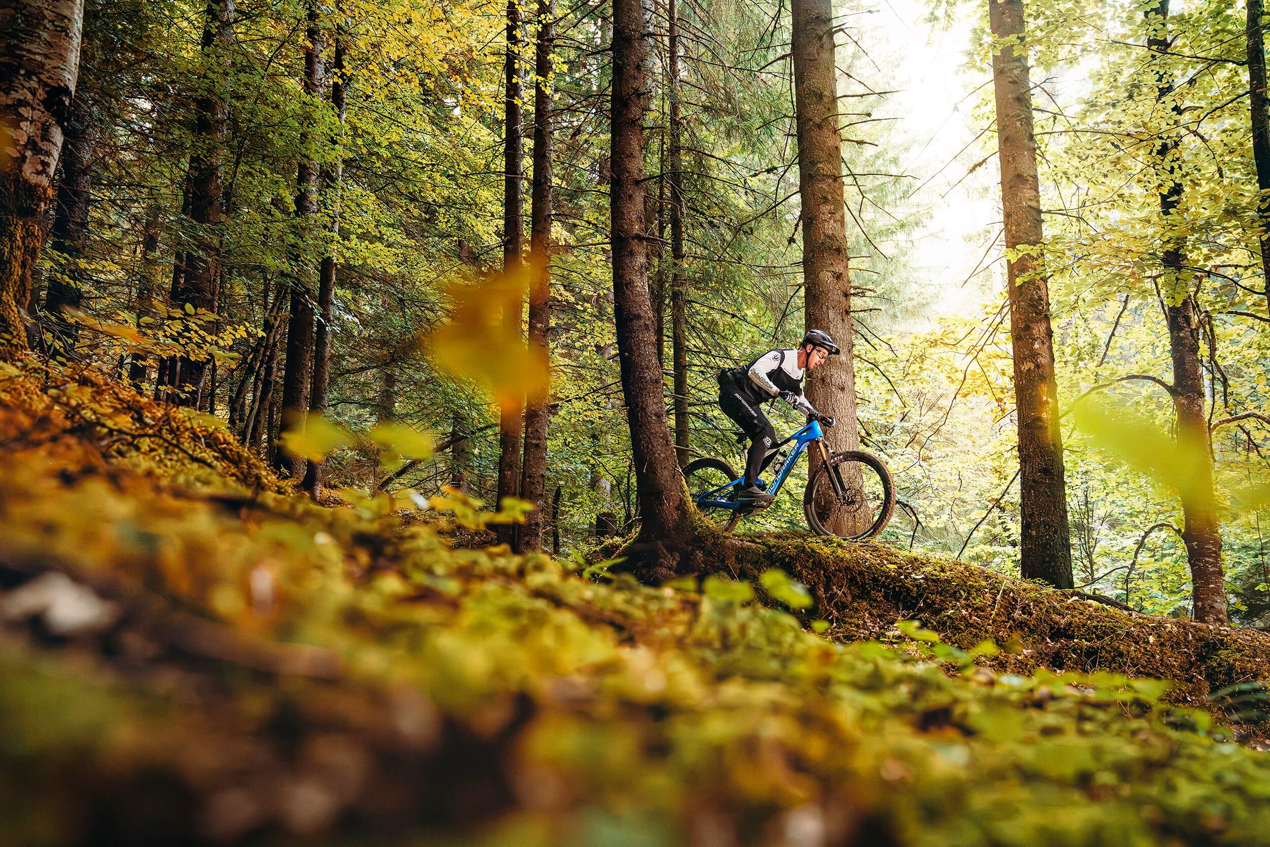 Mountainbiker auf blauem Mondraker E-Mountainbike im Wald, ideal für Offroad-Abenteuer.
