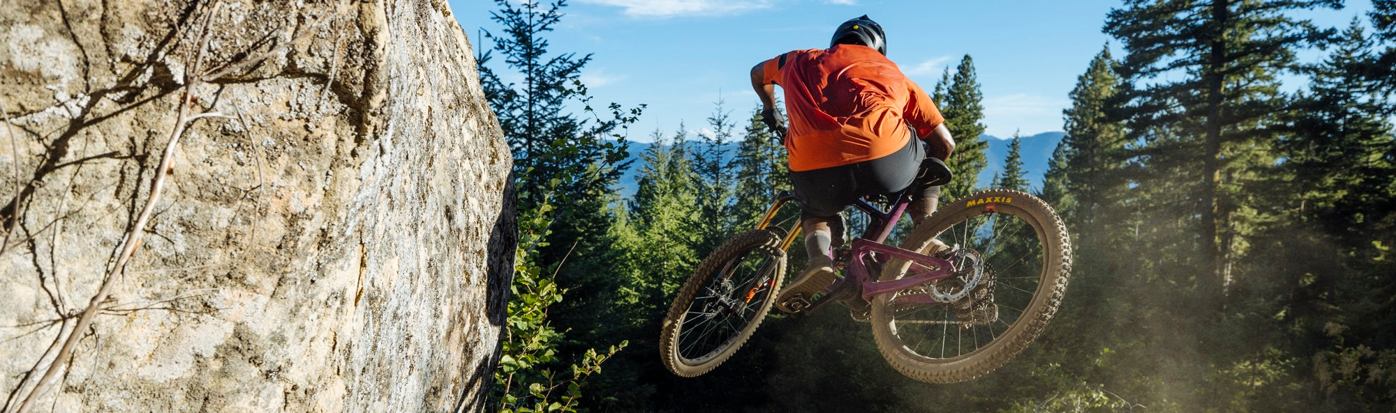 Person auf einem Santa Cruz Mountainbike springt im Wald über einen Hügel. Ideal für Outdoor- und Abenteuerfans.