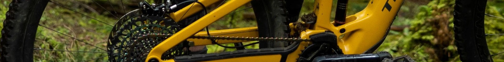Gelbes Trek Fuel EXE Mountainbike im Wald, Fokus auf Hinterrad und Rahmen, geeignet für Offroad-Abenteuer.
