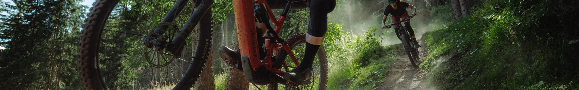 Specialized E-Mountainbike Fully Beratung und kaufen bei Liquid-Life.de