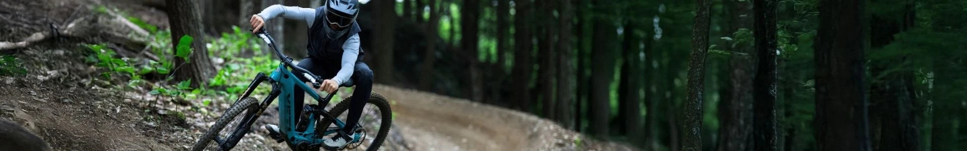 Das neue Yeti LTe Action Bild