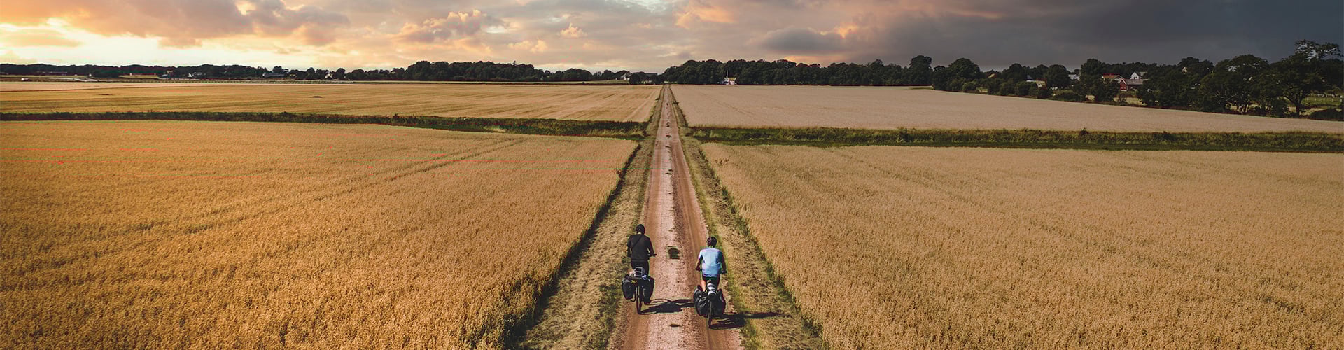 Zwei Radfahrer auf einem Feldweg, umgeben von Getreidefeldern bei Sonnenuntergang, auf Trekkingrädern von Cube.