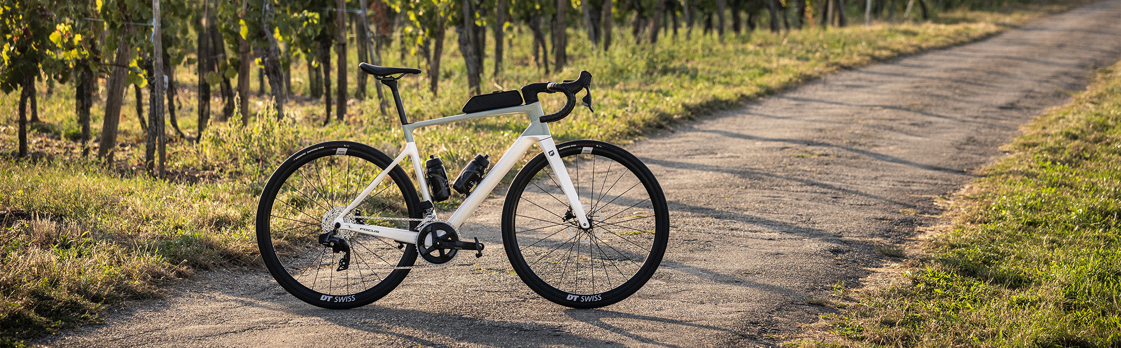 Weißes Focus Paralane Gravelbike auf Schotterweg, umgeben von grünen Weinfeldern bei Sonnenschein.