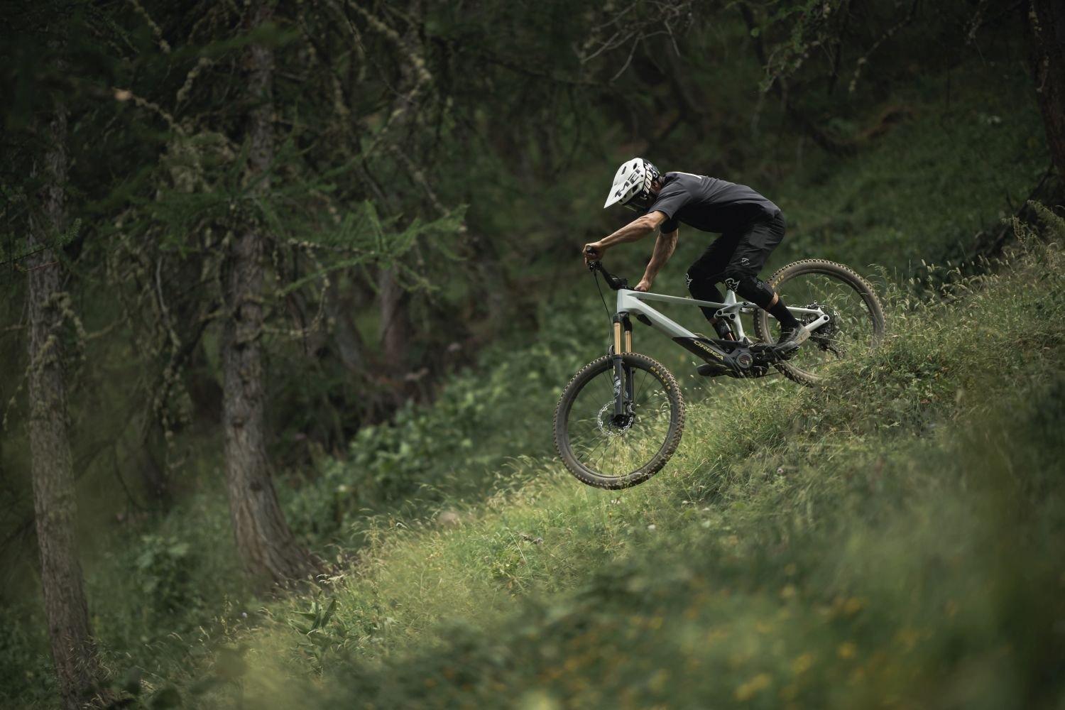 Orbea WILD M20 Halo Silver-Tanzanite Carbon View 2023 - Liquid-Life