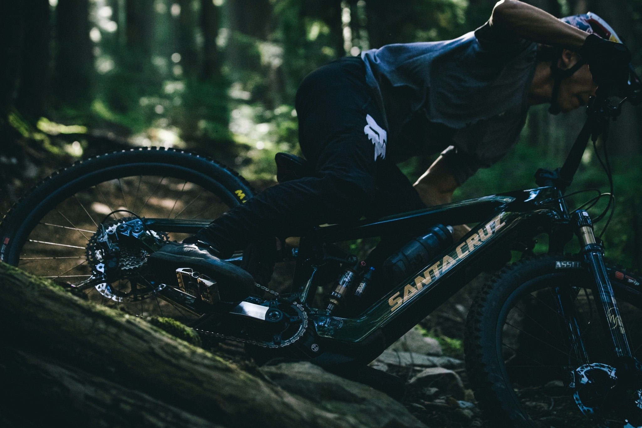 Mountainbiker fährt ein Santa Cruz Fahrrad im Wald, geeignet für anspruchsvolle Offroad-Trails.