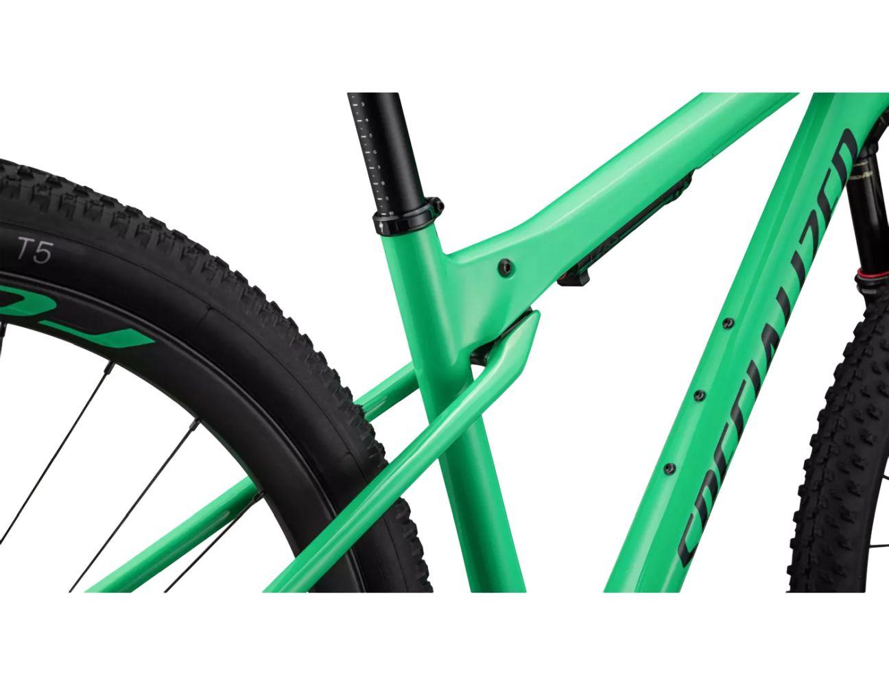 Specialized Epic World Cup Expert Electric Green/Forest Green Pearl 2023 - Liquid-Life